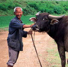 小型飼料顆粒機(jī),農(nóng)民圓夢(mèng)！